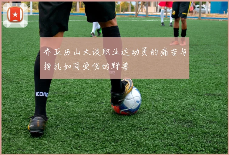乔亚历山大谈职业运动员的痛苦与挣扎如同受伤的野兽